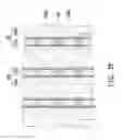 Fig. 08 - Resistive random access memory and method for manufacturing the same