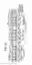 Fig. 13 - Light emitting device, method of preparing the same and device for fabricating the same