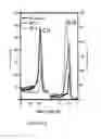 Fig. 03 - Solid phase epitaxy of 3C—SiC on Si(001)