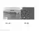Fig. 05 - Solid phase epitaxy of 3C—SiC on Si(001)