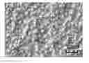 Fig. 01 - Method for manufacturing solar-power-generator substrate and apparatus for manufacturing solar-power-generator substrate