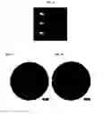 Fig. 05 - Grouped nanostructured units system forming a metamaterial