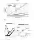 Fig. 07 - Grouped nanostructured units system forming a metamaterial
