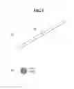 Fig. 05 - Solar cell module and method and device for repairing the same