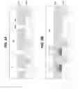 Fig. 05 - Metallic contact for optoelectronic semiconductor device