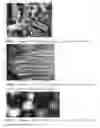 Fig. 02 - CARBONOUS COMPOSITE MATERIAL MADE WITH AND FROM PINE TREE NEEDLES AND ITS USE IN AN ENERGY CELL