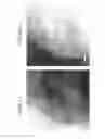 Fig. 10 - POSITIVE ELECTRODE ACTIVE MATERIAL CONTAINING SOLID SOLUTION ACTIVE MATERIAL, POSITIVE ELECTRODE CONTAINING THE POSITIVE ELECTRODE ACTIVE MATERIAL, AND NON-AQUEOUS ELECTROLYTE SECONDARY BATTERY USING THE POSITIVE ELECTRODE