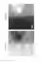 Fig. 12 - POSITIVE ELECTRODE ACTIVE MATERIAL CONTAINING SOLID SOLUTION ACTIVE MATERIAL, POSITIVE ELECTRODE CONTAINING THE POSITIVE ELECTRODE ACTIVE MATERIAL, AND NON-AQUEOUS ELECTROLYTE SECONDARY BATTERY USING THE POSITIVE ELECTRODE
