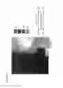 Fig. 18 - POSITIVE ELECTRODE ACTIVE MATERIAL CONTAINING SOLID SOLUTION ACTIVE MATERIAL, POSITIVE ELECTRODE CONTAINING THE POSITIVE ELECTRODE ACTIVE MATERIAL, AND NON-AQUEOUS ELECTROLYTE SECONDARY BATTERY USING THE POSITIVE ELECTRODE