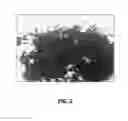 Fig. 03 - CARBON ADDITIVES FOR NEGATIVE ELECTRODES