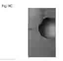 Fig. 11 - Cathode electrocatalyst and fuel cell