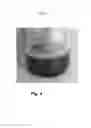 Fig. 05 - A METAL ACCUMULATION INHIBITING AND PERFORMANCE ENHANCING SUPPLEMENT AND A SYSTEM FOR DELIVERING THE SUPPLEMENT