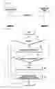 Fig. 04 - Method and apparatus for cooperative communication in wireless communication system