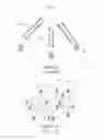 Fig. 03 - Receiver, system and method for frequency diversity communications using beacon and methods useful in conjunction therewith