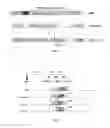 Fig. 03 - Transmission and reception methods and associated communication devices for use in OFDM-based communication network