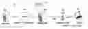 Fig. 01 - Snoop virtual receiver time