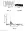 Fig. 05 - Communicating through physical vibration