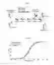Fig. 09 - Information processing method and device