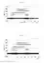 Fig. 10 - Information processing method and device