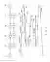 Fig. 10 - TRANSMISSION DEVICE AND METHOD FOR ESTABLISHING PATH IN MULTILAYER NETWORK