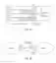 Fig. 27 - Filtering and route lookup in a switching device