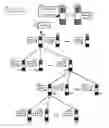 Fig. 01 - Orchestrated peer-to-peer server provisioning