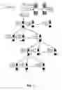 Fig. 02 - Orchestrated peer-to-peer server provisioning