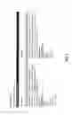 Fig. 05 - METHOD FOR NOTIFYING A SALES PERSON OF A SALES PROSPECT
