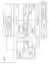 Fig. 08 - High availability internet protocol address solution for disaster recovery