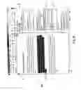 Fig. 11 - Method and apparatus for protecting regions of an electronic document