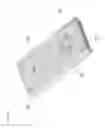 Fig. 08 - Reduced Acoustic Coupling