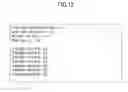 Fig. 12 - Information processing system and information processing method