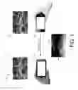 Fig. 02 - Method And Apparatus Of Utilizing Image/Video Data From Multiple Sources