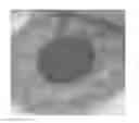 Fig. 01 - Biometric imaging devices and associated methods