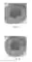 Fig. 05 - Biometric imaging devices and associated methods