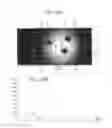 Fig. 19 - Video projection system including multiple local video projection units