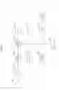 Fig. 32 - IMAGE PROCESSING APPARATUS AND IMAGE PROCESSING METHOD