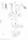 Fig. 33 - IMAGE PROCESSING APPARATUS AND IMAGE PROCESSING METHOD