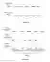 Fig. 06 - Audio and video data streaming for media effects