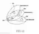 Fig. 13 - METHOD FOR SCANNING NEIGHBORING DEVICES AND ELECTRONIC DEVICE THEREOF