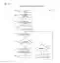 Fig. 19 - Apparatus and method for assessment of mesh network topology