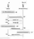 Fig. 01 - Method and apparatus for wireless grid compu ting