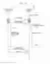 Fig. 13 - Information processing apparatus, control method therefor, and recording medium
