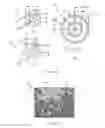 Fig. 57 - CIRCUIT BOARD ASSEMBLY ADAPTED FOR FLUID COOLING