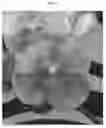 Fig. 04 - Vanda plant named SPCDW1403