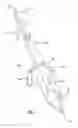 Fig. 02 - System for removing implanted objects from the ground