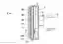 Fig. 01 - Combine header for stripping seeds