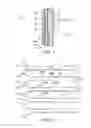 Fig. 02 - Combine header for stripping seeds