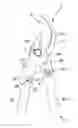 Fig. 01 - PRUNING SHEARS