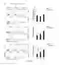 Fig. 11 - COMPOSITIONS AND METHODS FOR THE STUDY AND TREATMENT OF ACUTE KIDNEY INJURY
